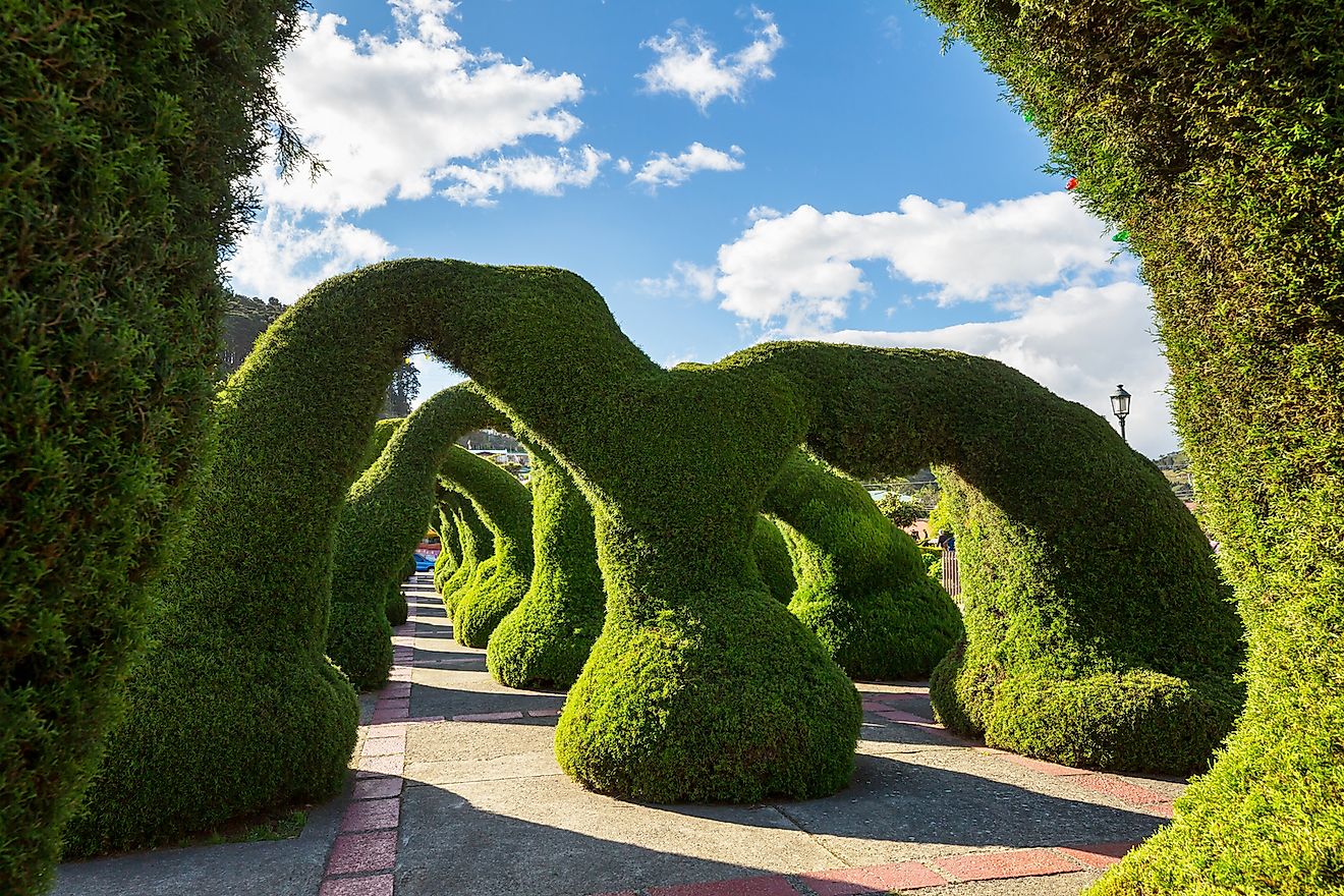 Evergreen Park Francisco Alvarado is the landmark of Zarcero town, Costa Rica. Image credit: Galyna Andrushko/Shutterstock.com