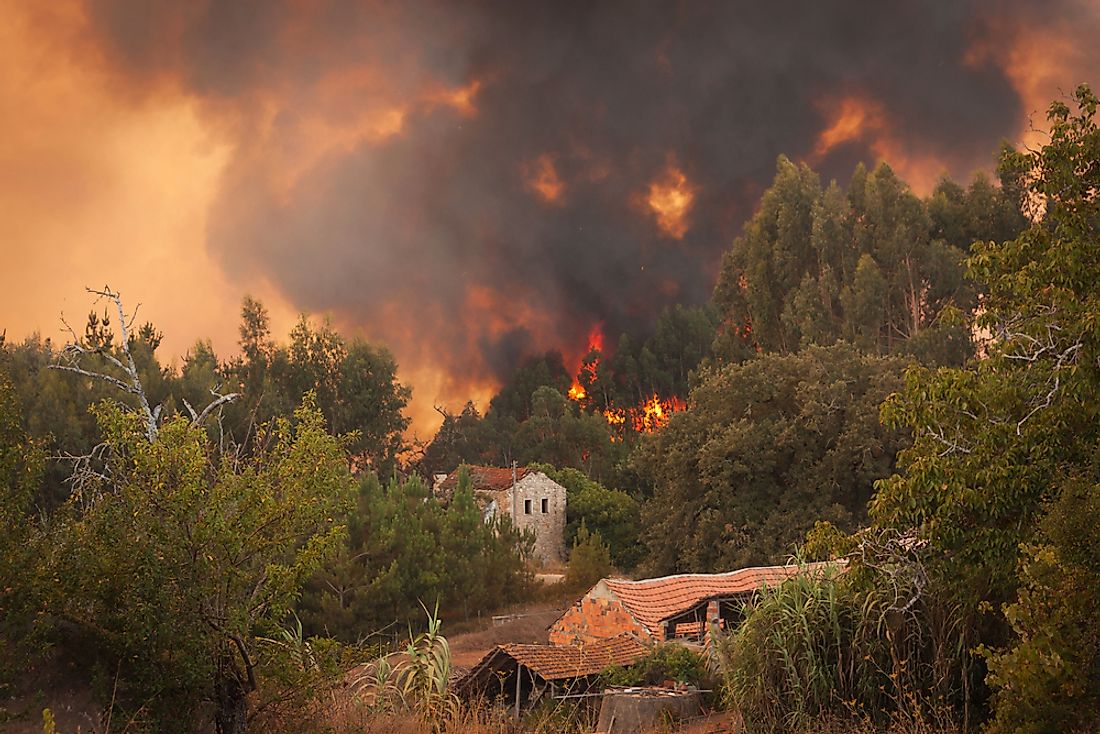 Forest fire in Portugal. 