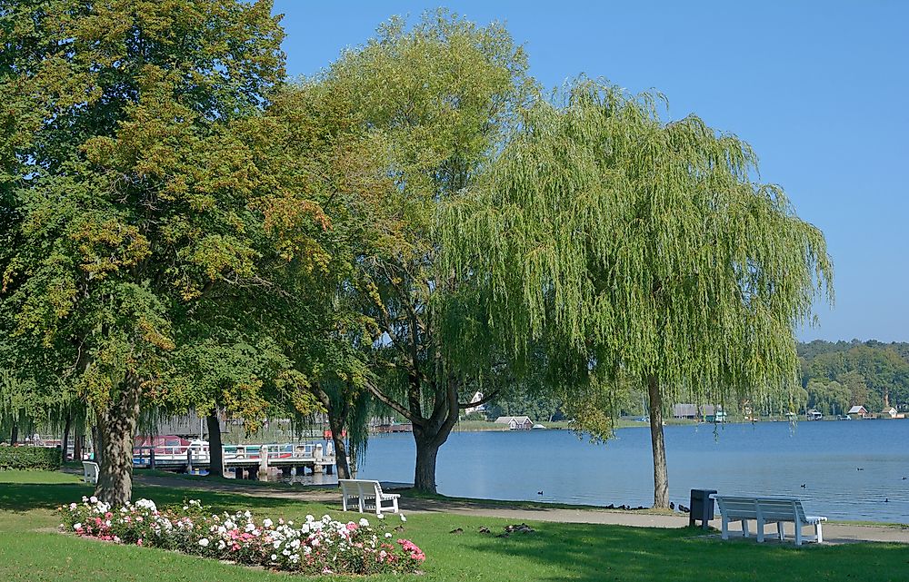 Muritz National Park, Mecklenburg-Vorpommern. 