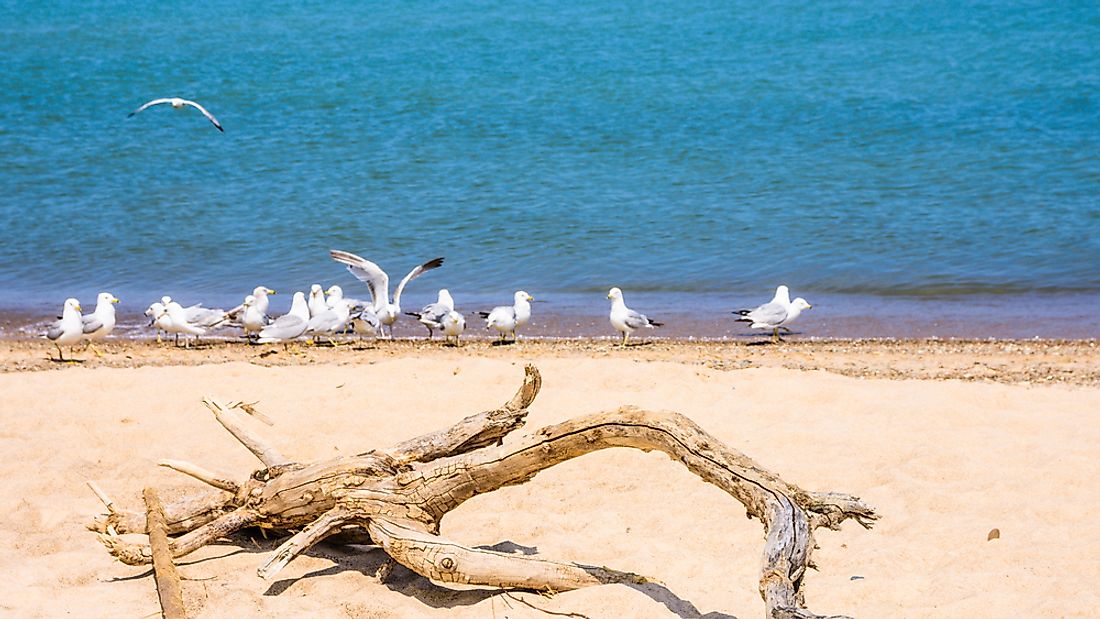 Indiana Dunes State Park on the shores of Lake Michigan was declared a National Natural Landmark in 1974.