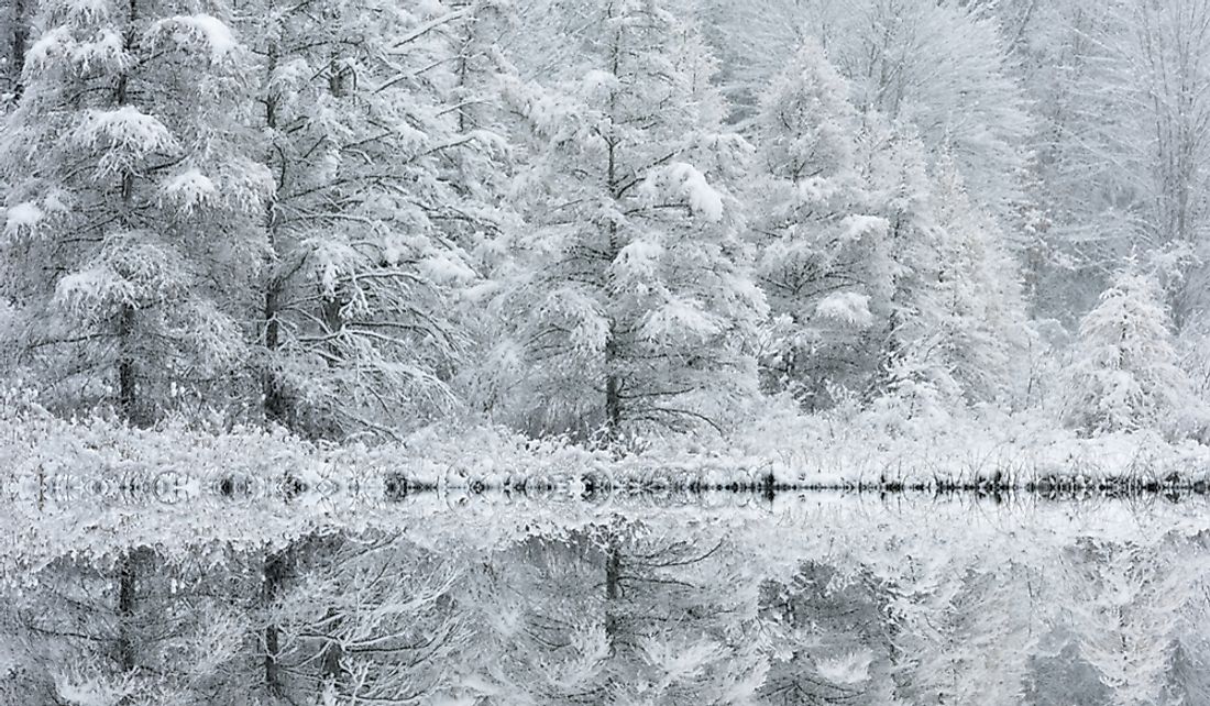 Michigan gets hit with heavy snow due to its proximity to the Great Lakes.