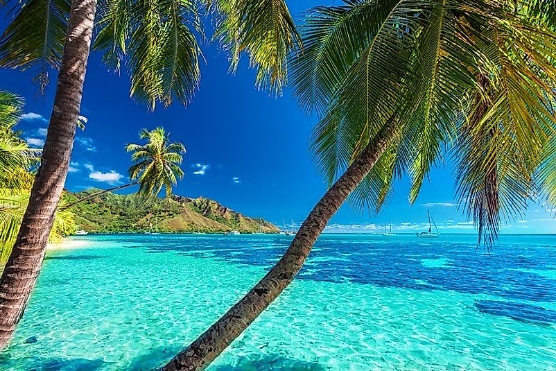 The palm-fringed beaches of Mo'orea Island reach out into pristine tropical waters.