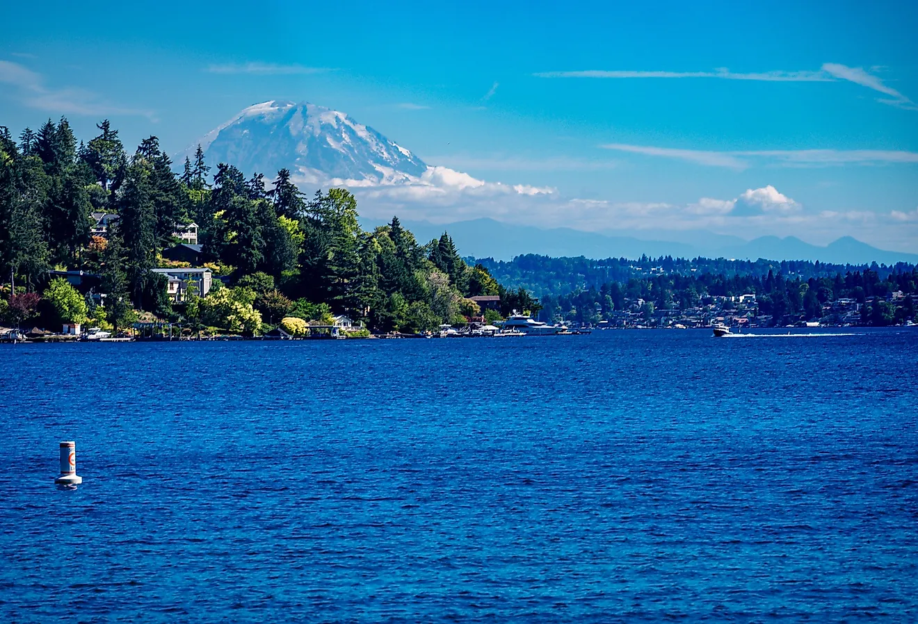 A view of Lake Washington and Mount Rainier from Seward Park in Seattle, Washington.