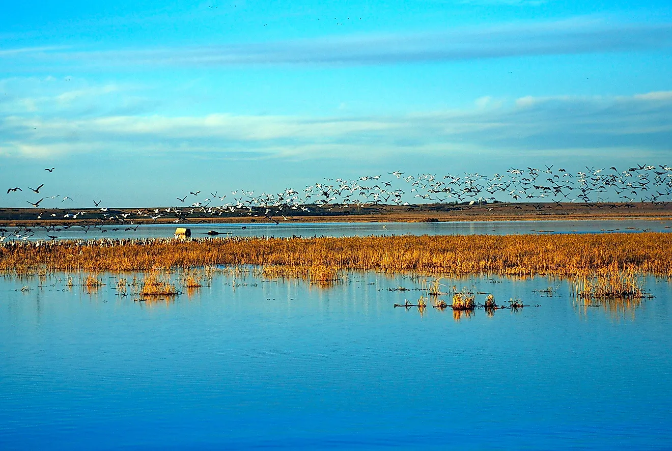 Wetlands and Wildlife Scenic Byway - Birds Flock over the Cheyenne Bottoms Wildlife Area. Editorial credit: Wikimedia Commons