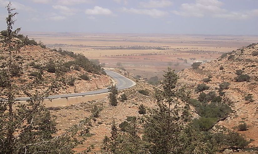 Marj escarpment, Jebel Akhdar mountains, northeastern Libya: Mediterranean woodlands and forests.