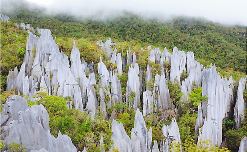 Limestone pinnacles at Gunung Mulu National Park.