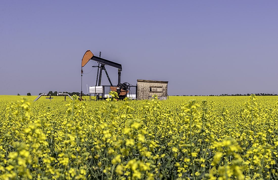 An oil field in Texas. 