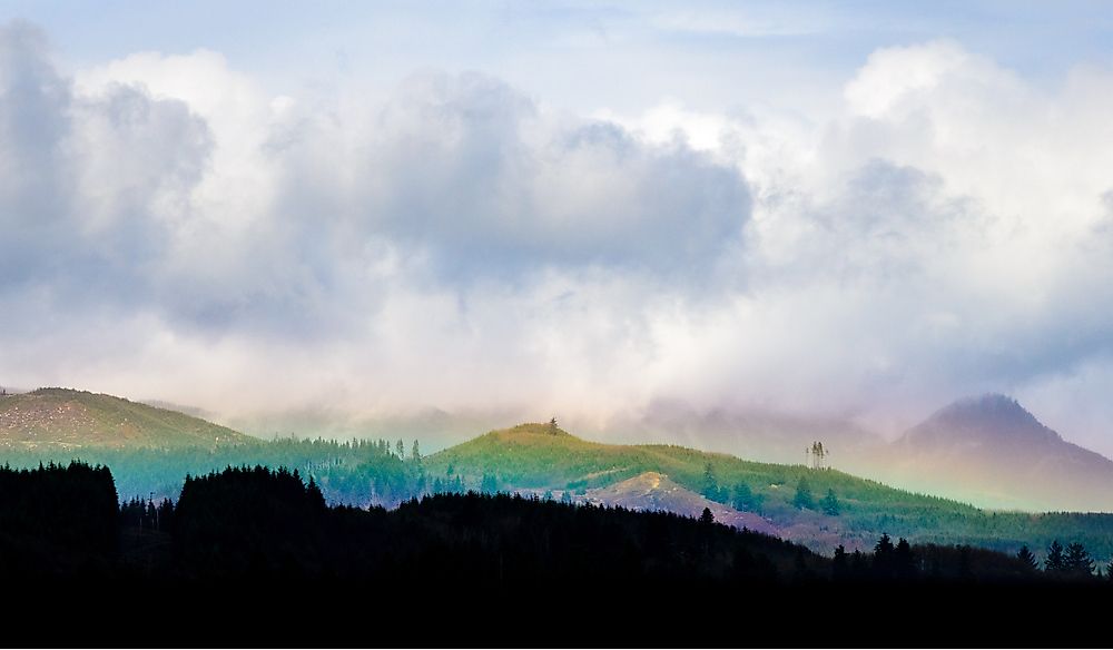 Idiotville is a ghost settlement that is located in Oregon’s Tillamook State Forest.