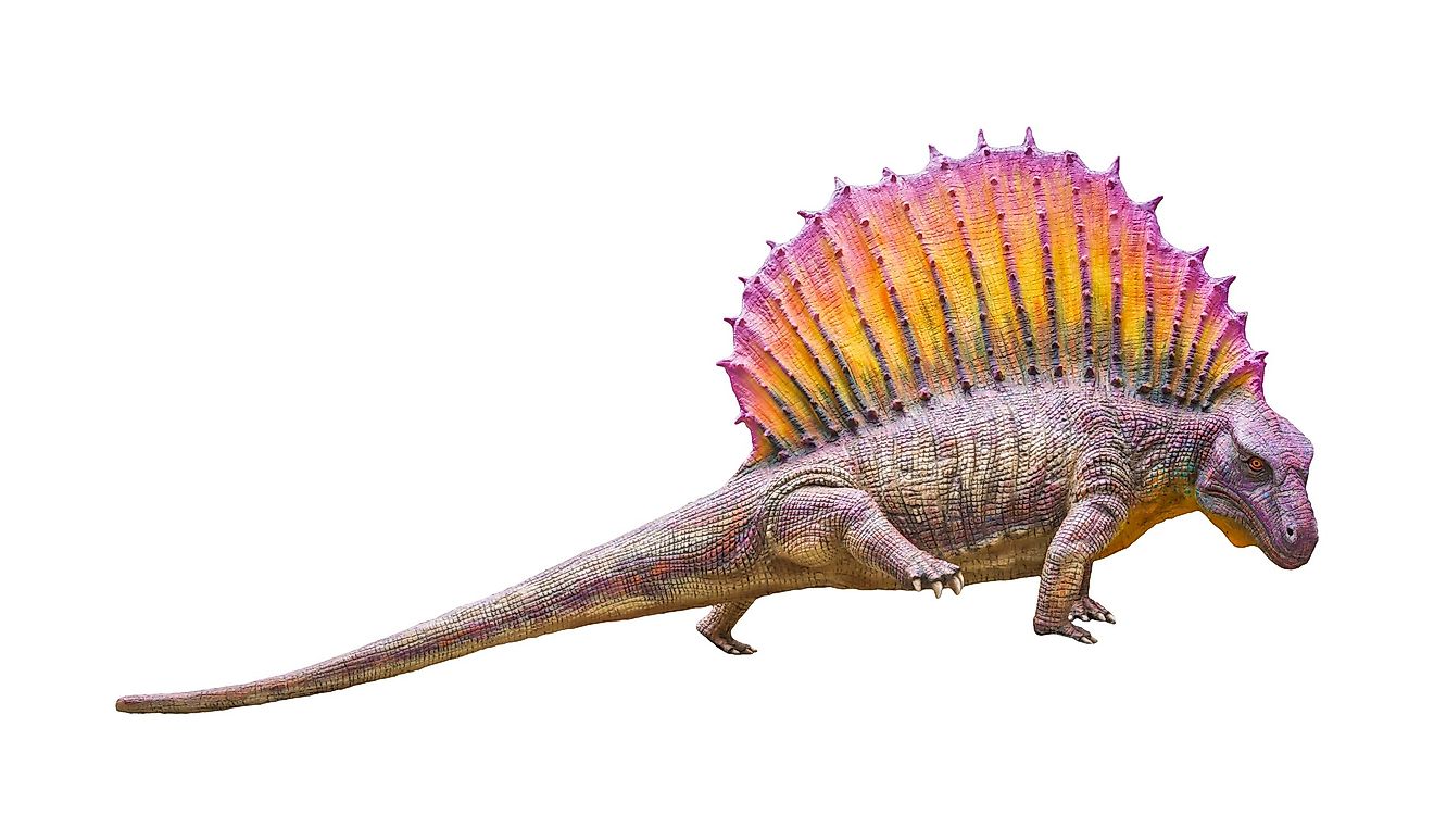 The synapsids are considered to be the most important animals of this period.