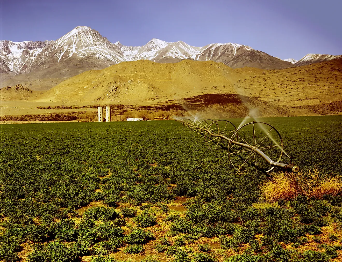 Watering a farm in Imperial Valley, California