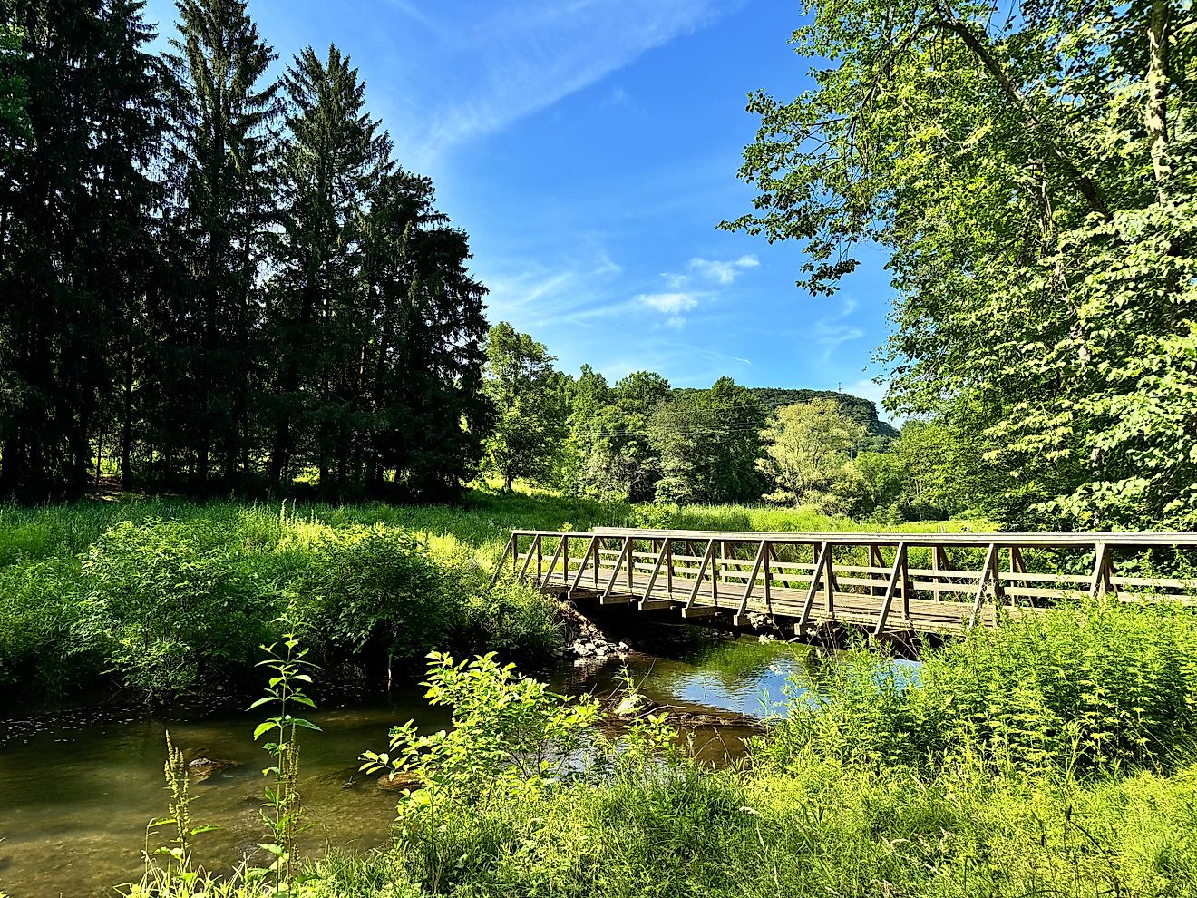  Cherry Valley National Wildlife Refuge near Saylorsburg, Pennsylvania.