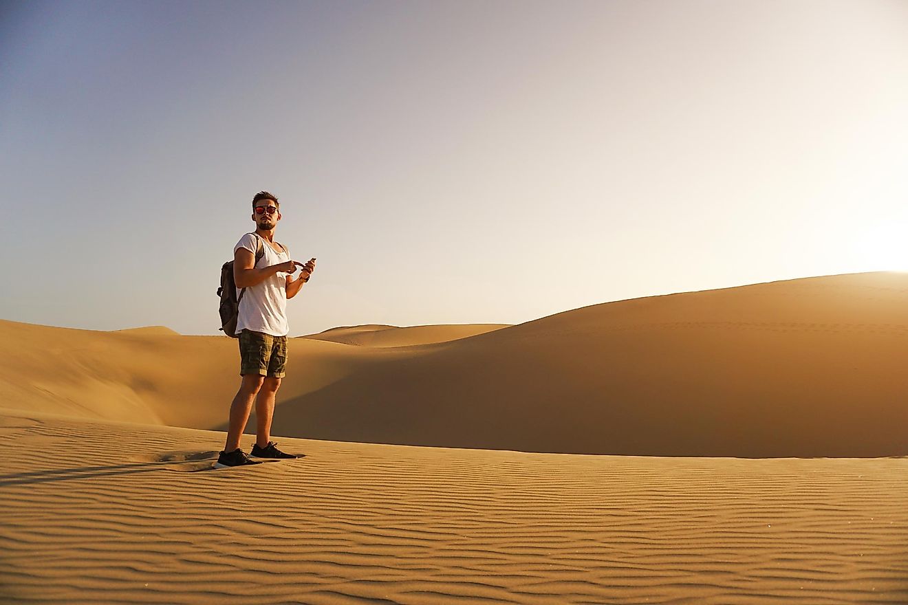 Panicking is the last thing you would like to do in a desert. Image credit: Everydaytextures/Shutterstock.com