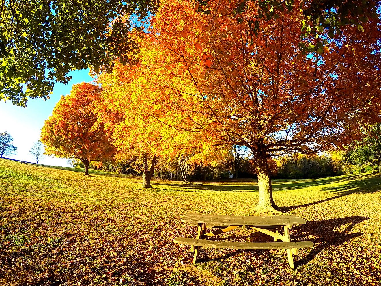 Welcome to Wilmington: pictured here, Brandywine Creek State Park. 