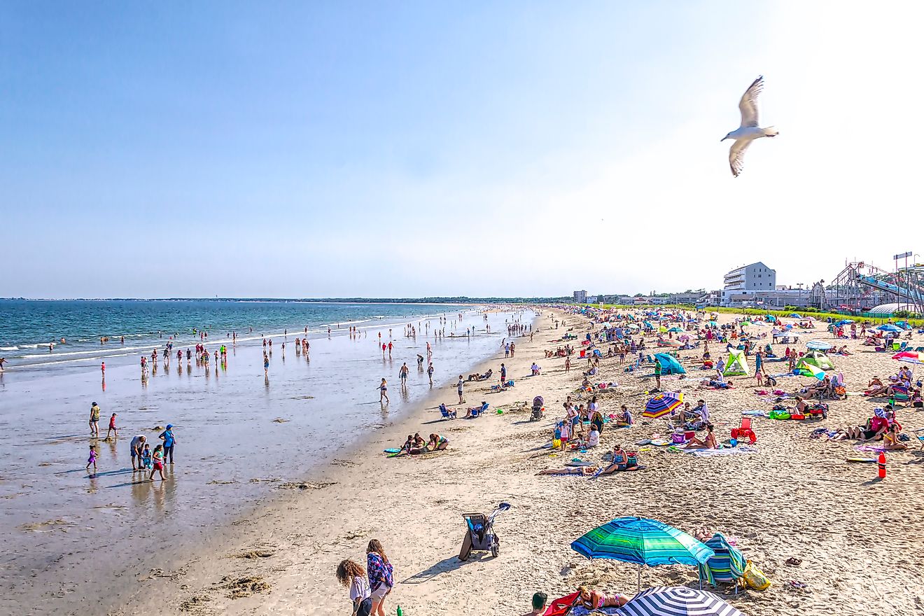 Crowds of people enjoy the sun and surf of Old Orchard Beach in Maine. A single seagull flys over the scene.