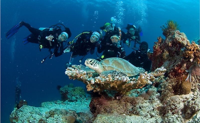 Barracuda point, Sipadan island, Malaysia. Editorial credit: MaeManee / Shutterstock.com S M L Size Guide