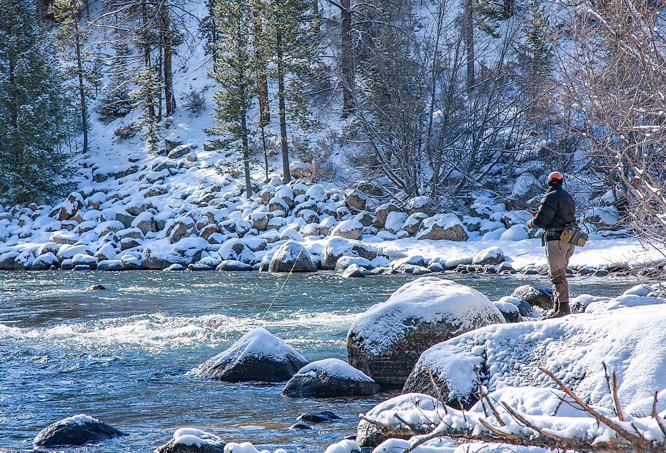 Winter fly fishing on the Salmon River, Idaho.