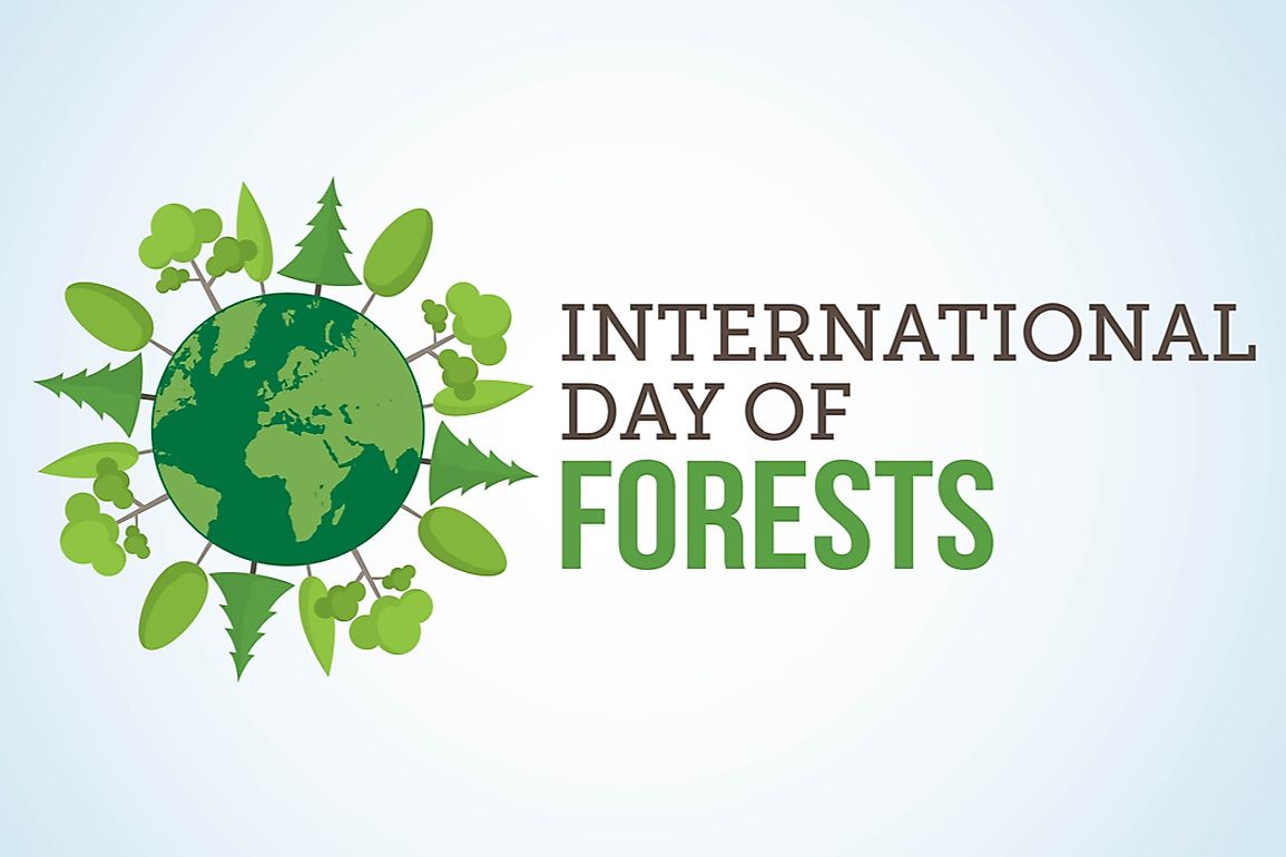 The International Day of Forests raises awareness on the importance and use of trees and celebrates how trees support human life.