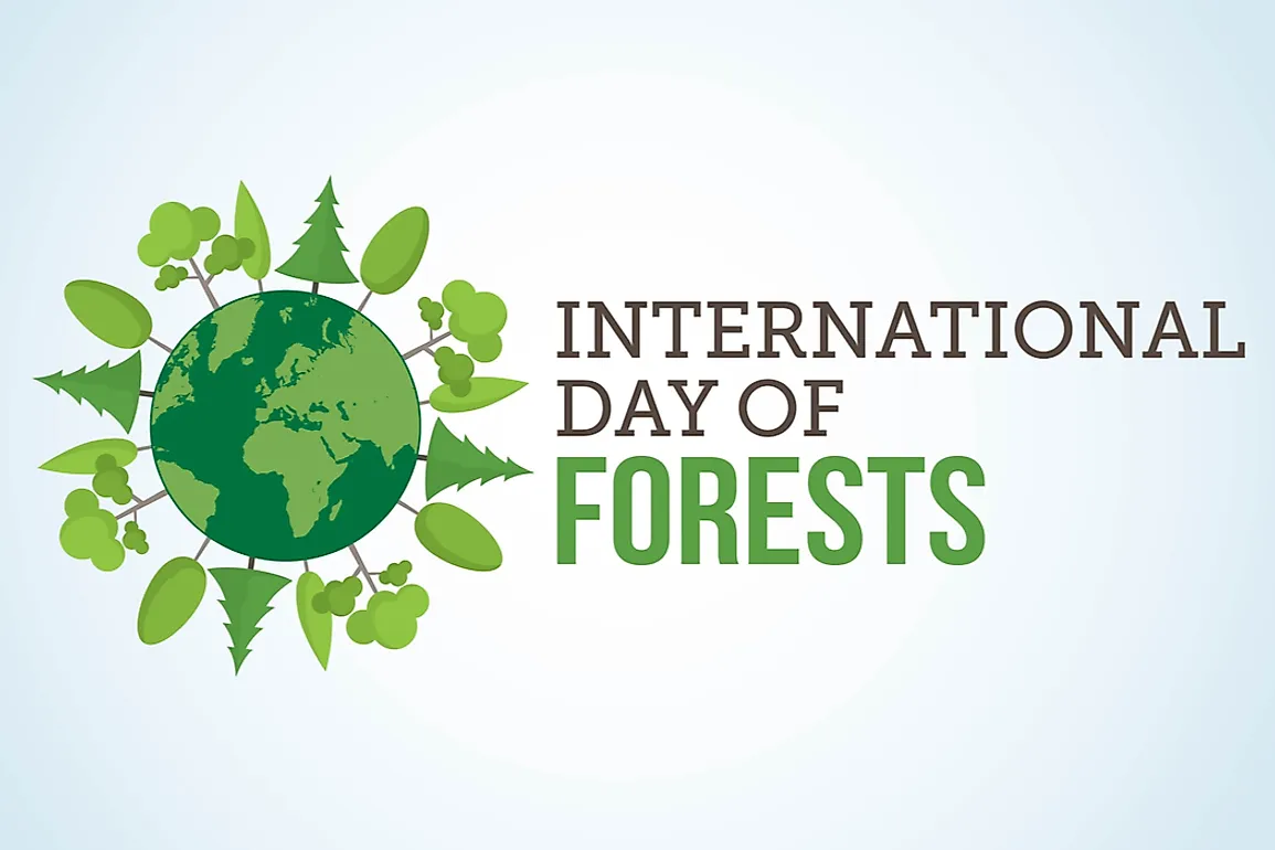 world forest day essay in english