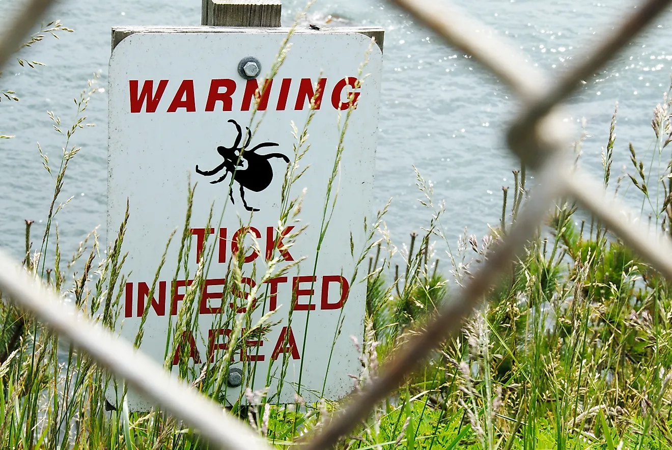 A warning sign for ticks alerts visitors in the wilderness.