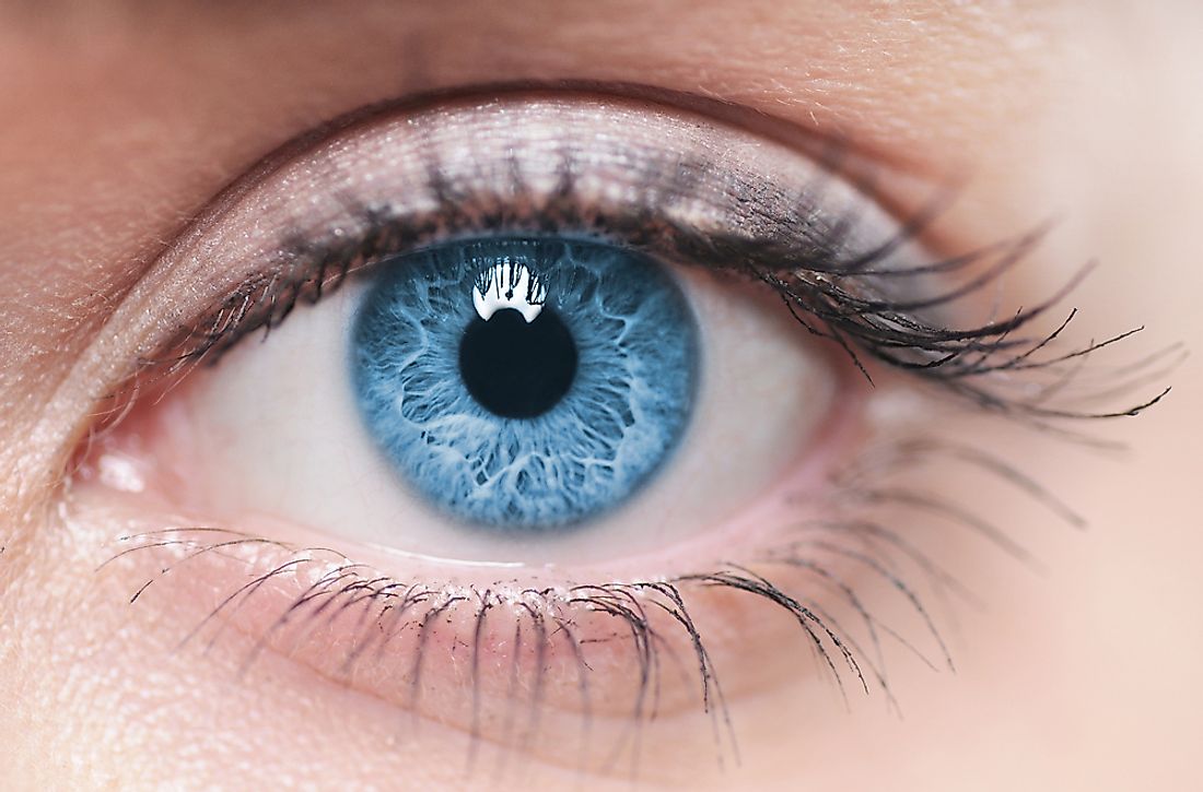 Blue eyes are uncommon, with about 8-10% of the world having them.