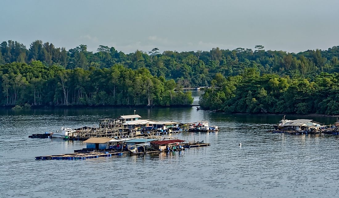Floating fish farm in the Johor Strait.