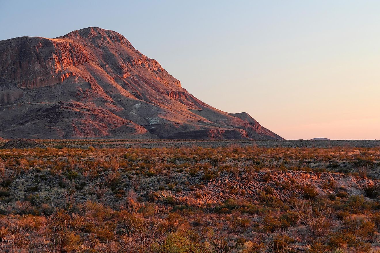 The Chihuahuan desert is one of the most well-known deserts in the world.