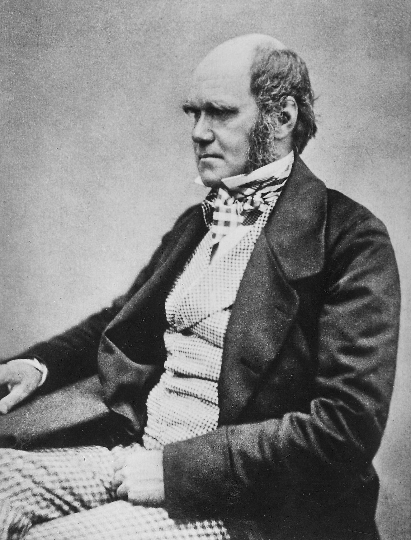 Photograph of Charles Darwin. Image credit: Henry Maull (1829–1914) and John Fox (1832–1907) (Maull &amp; Fox)/Wikimedia.org
