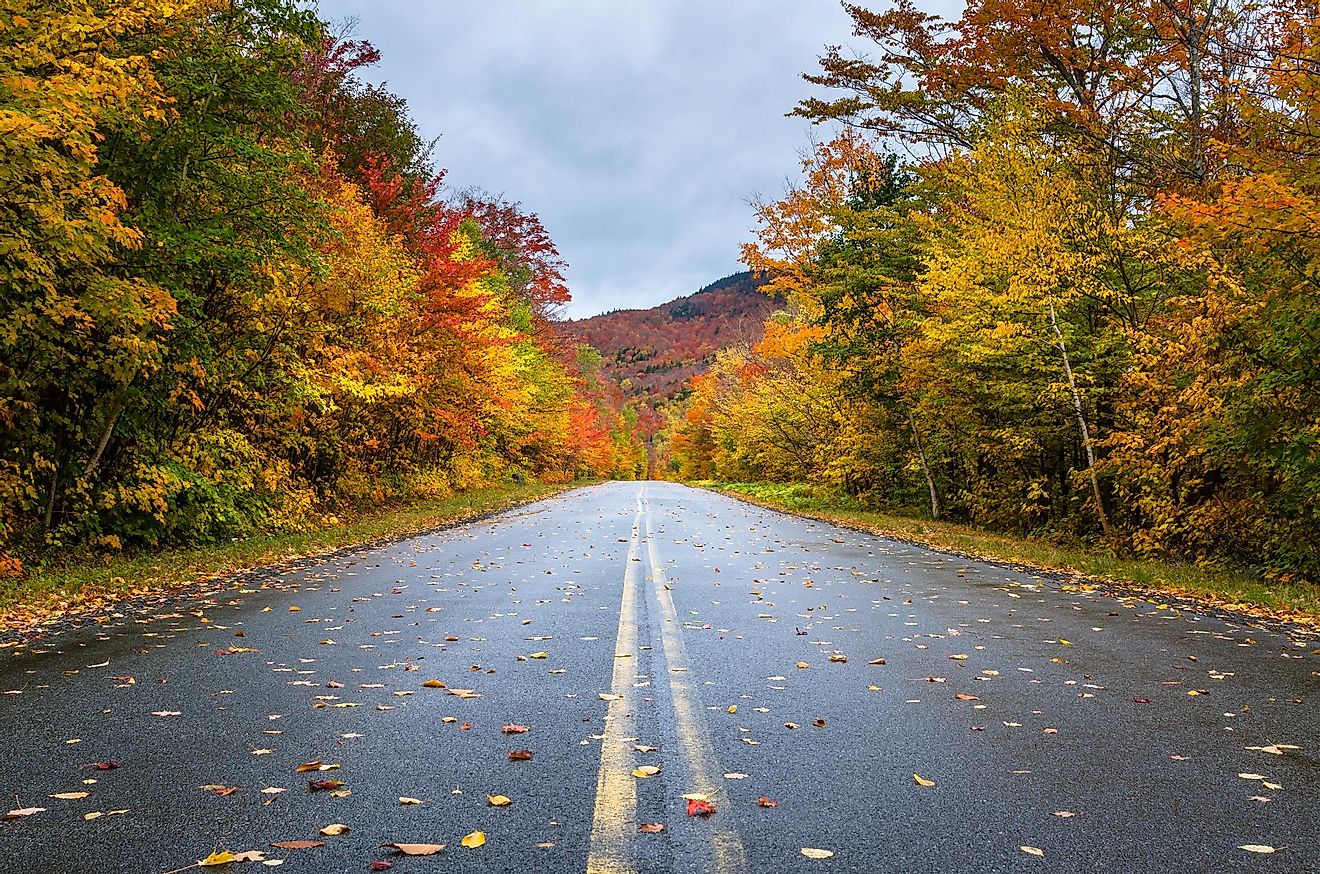 Deserted Straight Mountain Road on a Rainy Autumn Day. Some Fallen Leaves are on the Wet Asphalt. Beautiful Fall Colors. Adirondacks, Upstate New York