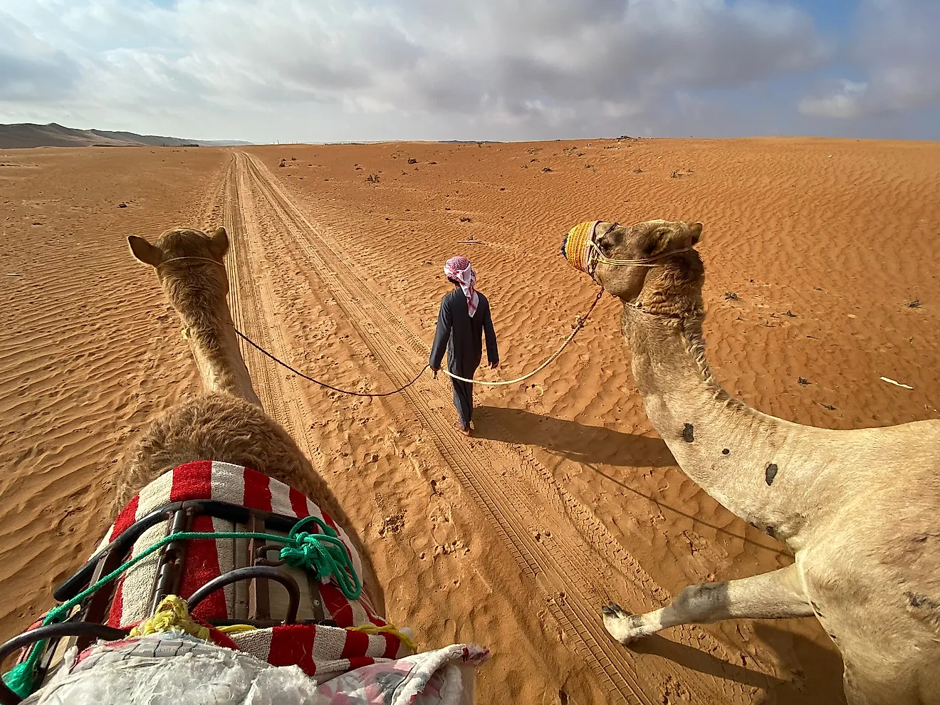 Camel riding in Wahiba Sands desert, a part of the Arabian Desert, in the Sultanate of Oman. Image credit: Jackbolla/shutterstock.com