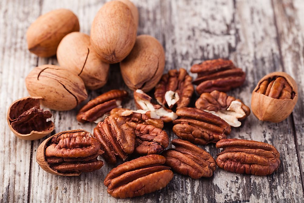 Pecans are a popular snack food and are nutritious. 