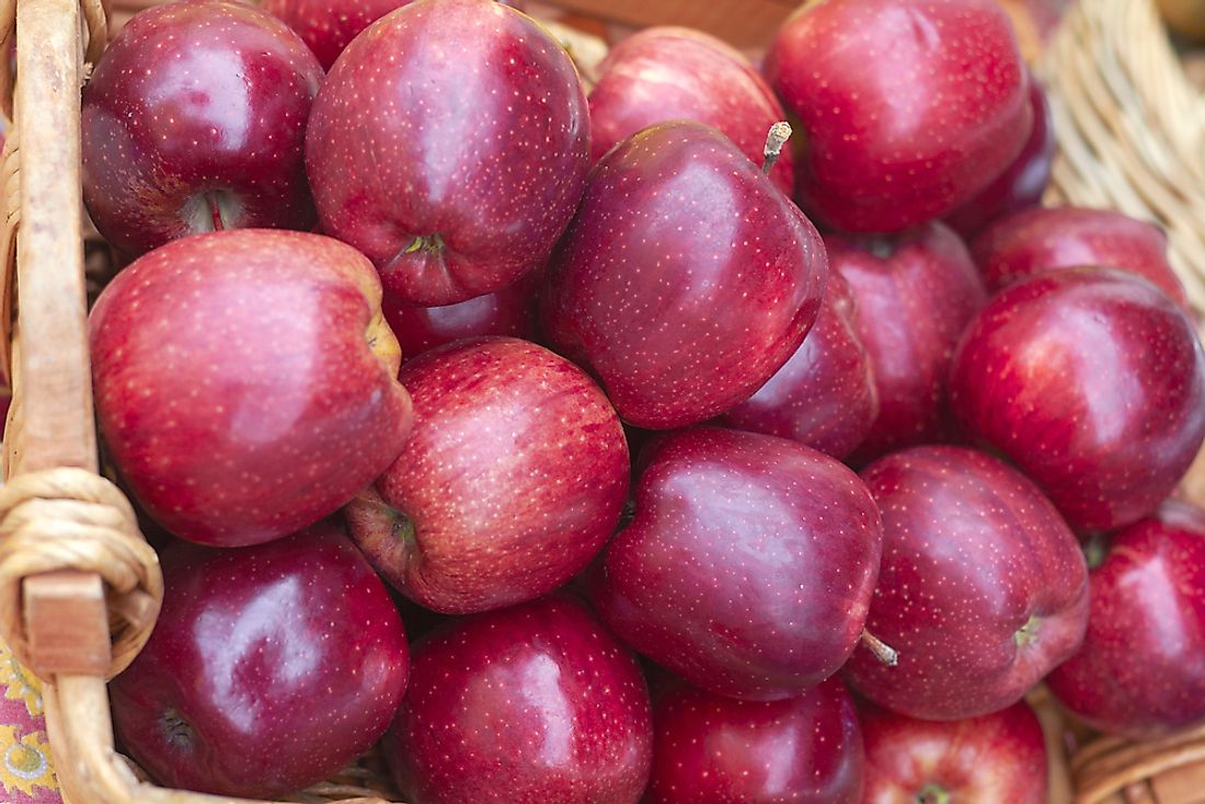 The Red Delicious apple is the most common variety around the world. 