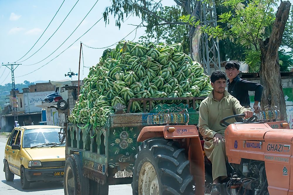 Agricultural produce in Tajikistan. Editorial credit: C. Na Songkhla / Shutterstock.com. 