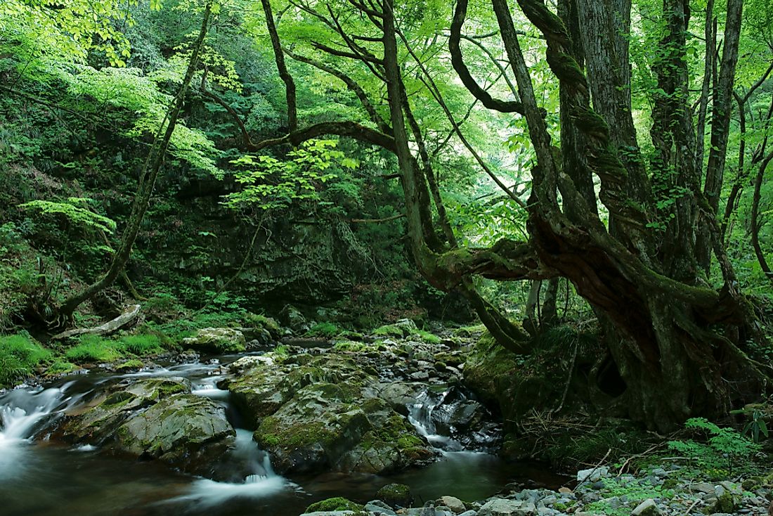 Japan has its own unique ecoregions due to the relative isolation of the country from mainland Asia.