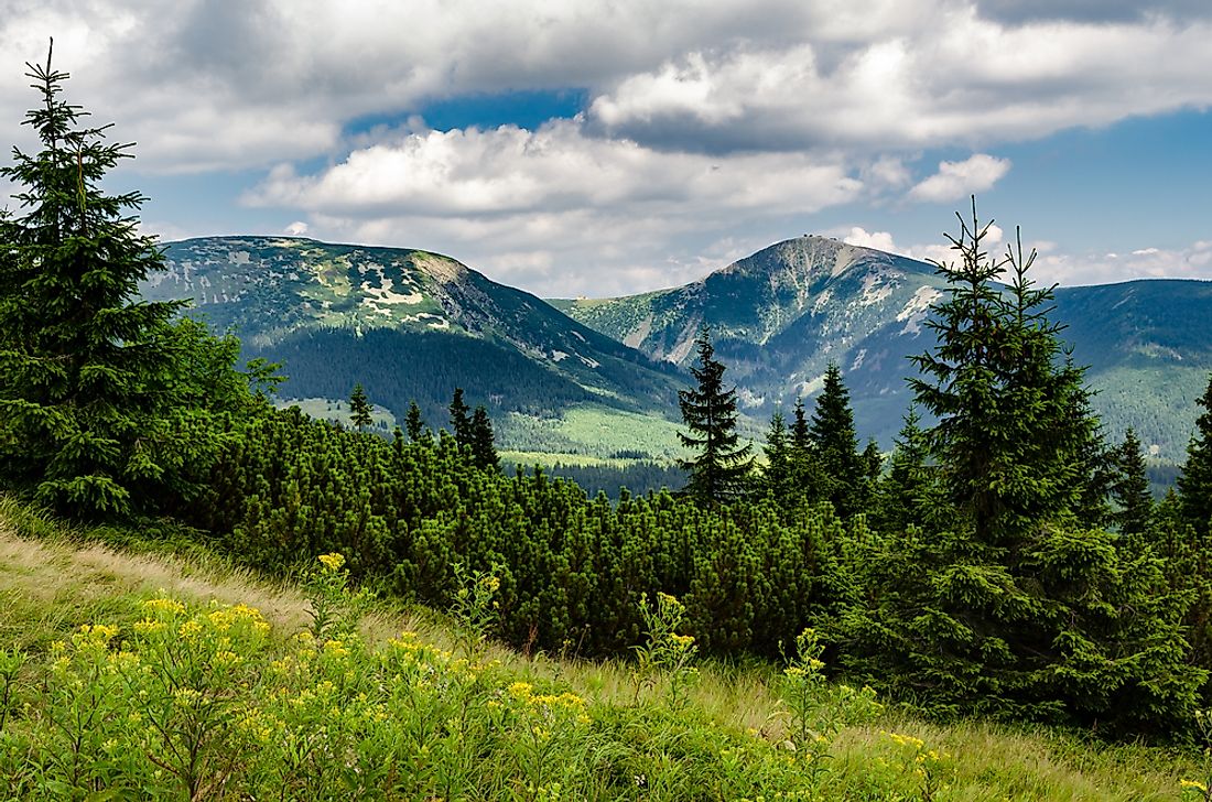 Krkonoše National Park in the Czech Republic. 