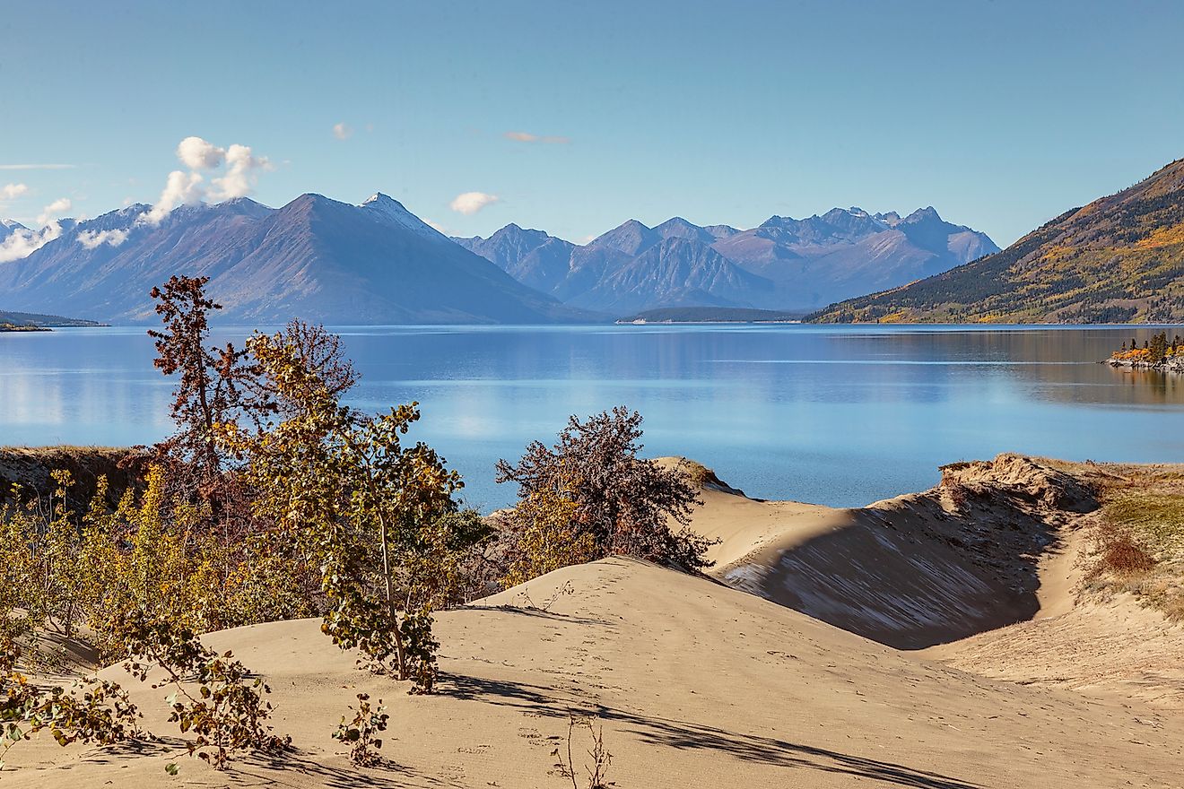 Sand dunes of Carcross desert, the smallest desert in the world in Yukon, Canada. Image credit: Jef Wodniack/Shutterstock.com