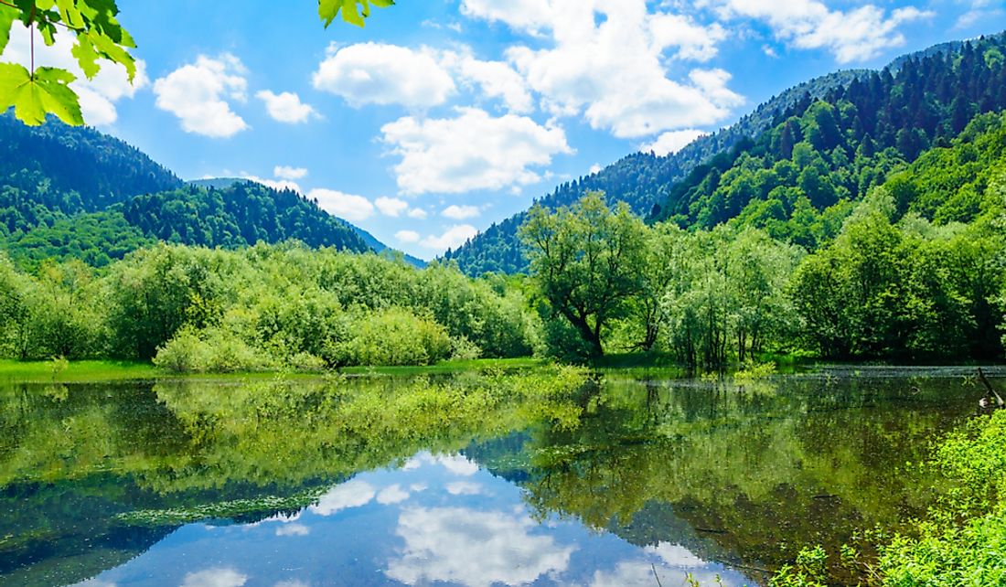 Biogradska Gora National Park in Kolašin municipality, Montenegro.