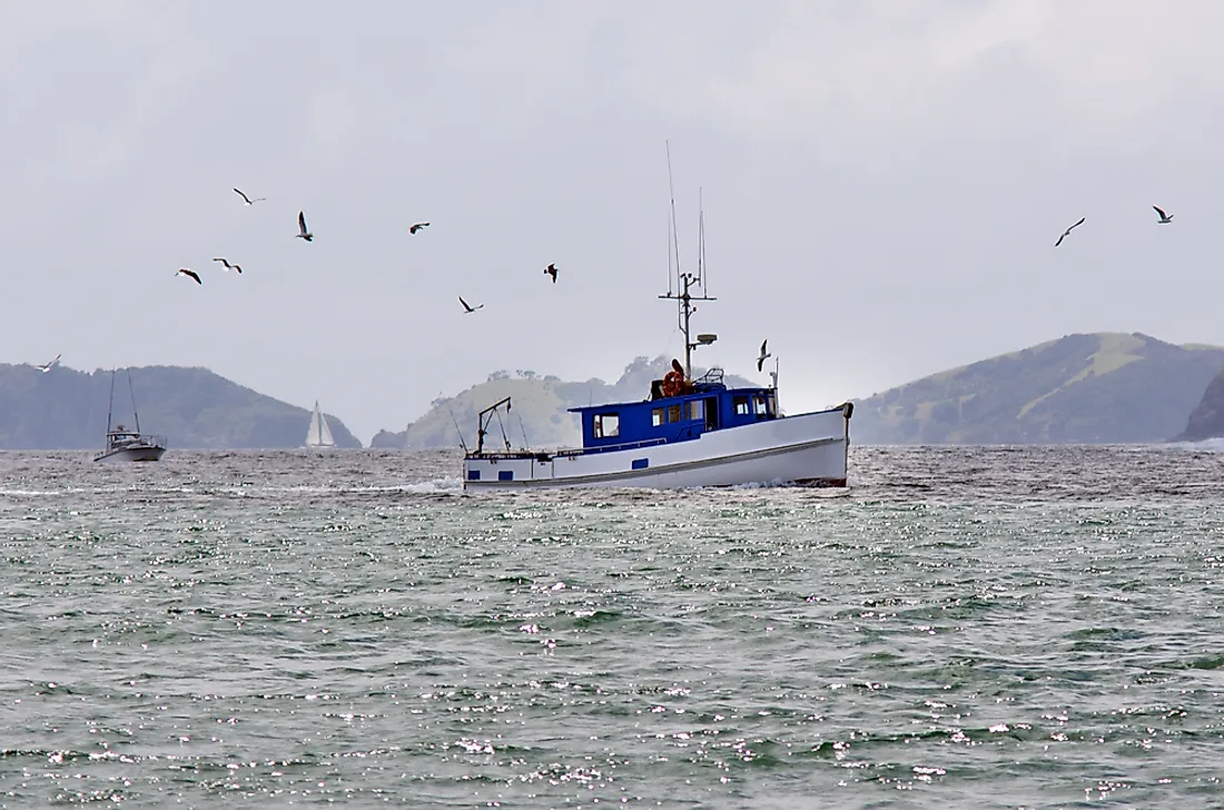 Fishing boats within the EEZ of New Zealand. Editorial credit: ChameleonsEye / Shutterstock.com