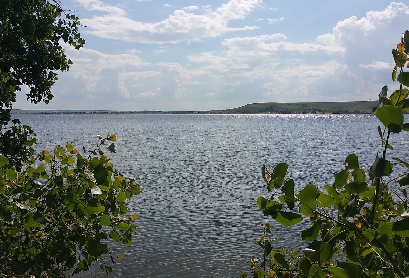 Looking through the trees at Wilson Lake in summer.