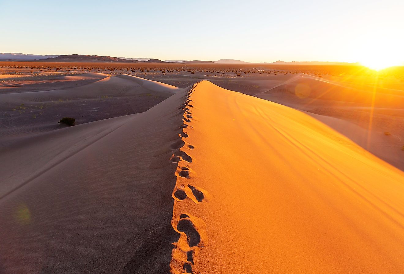 Sand dunes in Death Valley National Park, California.