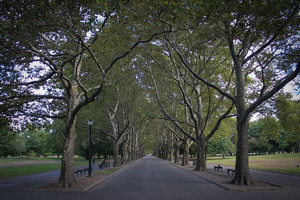 FLushing Meadows Corona park, in Queens, is one of the largest parks in New York City.