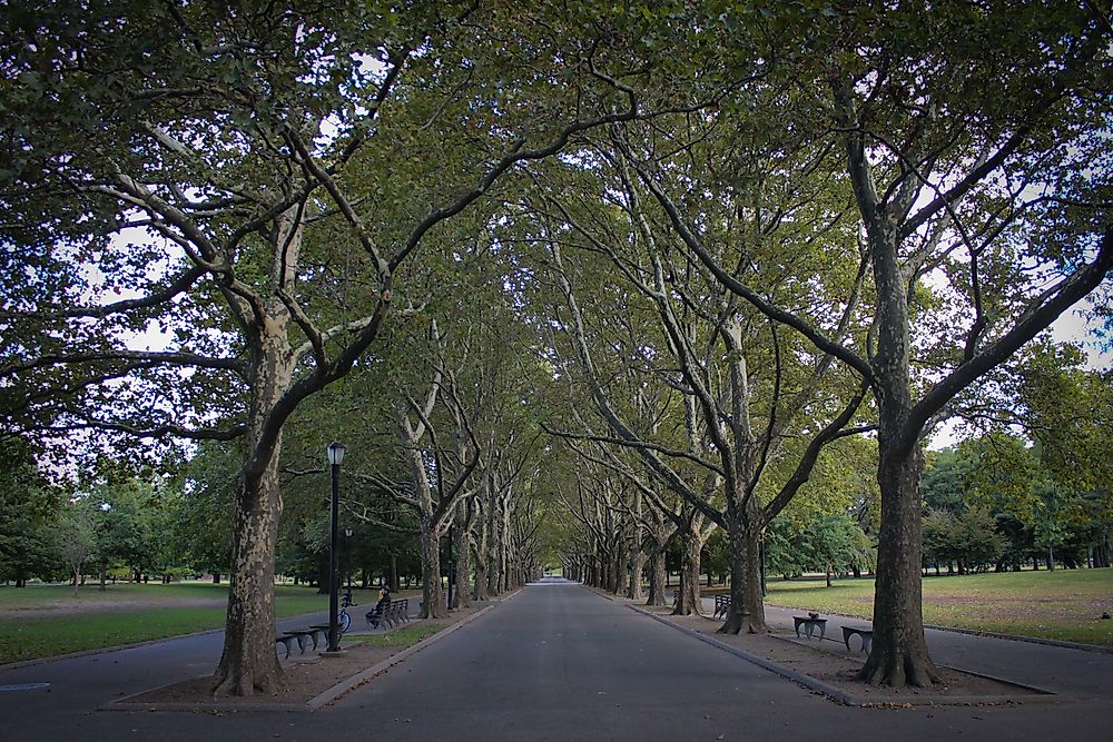 FLushing Meadows Corona park, in Queens, is one of the largest parks in New York City. 