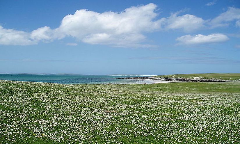 The Machair towards West beach, Isle of Berneray, Outer Hebrides.