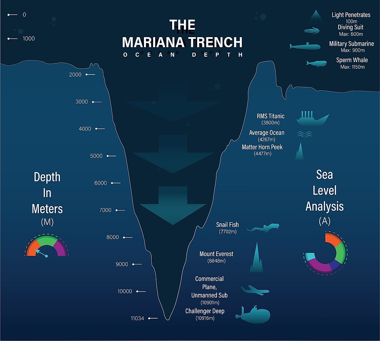 Mariana trench sea illustration. 