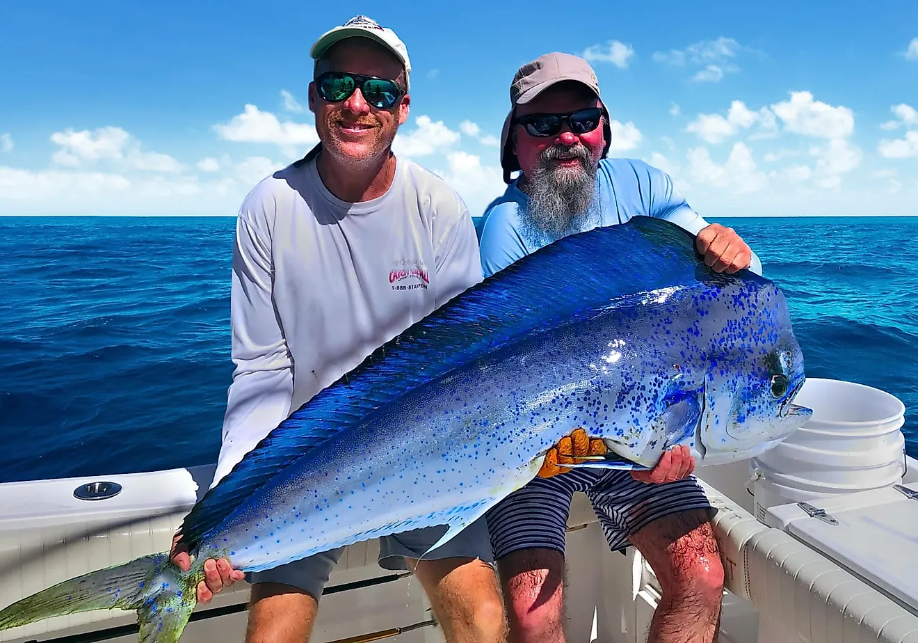 Summer Time Deep Sea Fishing in Destin, Florida - Charter Boat Sea