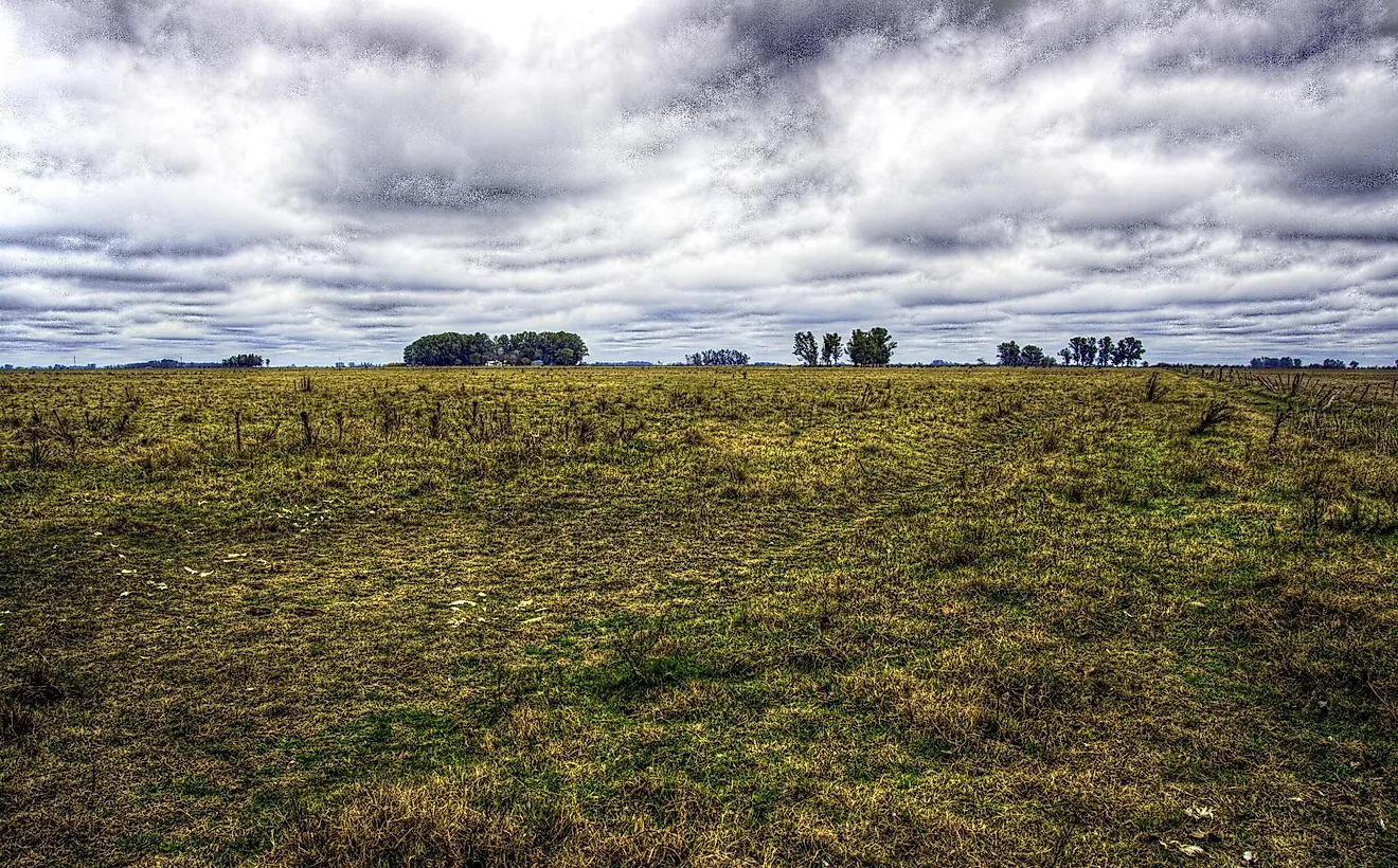 The Pampas Of South America Have Played An Important Role in The Lives Of the People Inhabiting the Grassland Habitat.