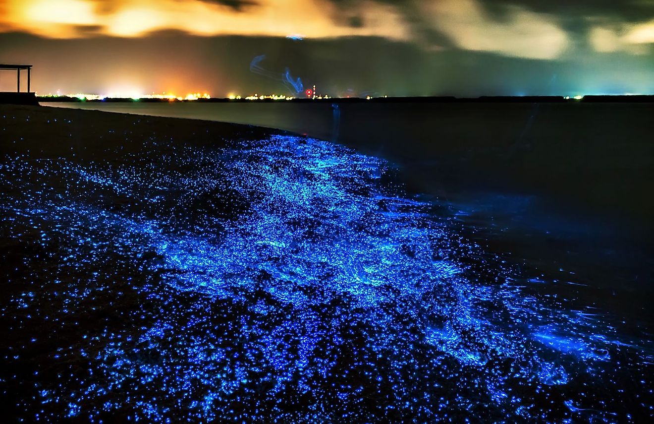 This beach is located on Mudhdhoo Island in the Maldives, and it is also known as the Vaadhoo beach. Image credit: whenonearth.net