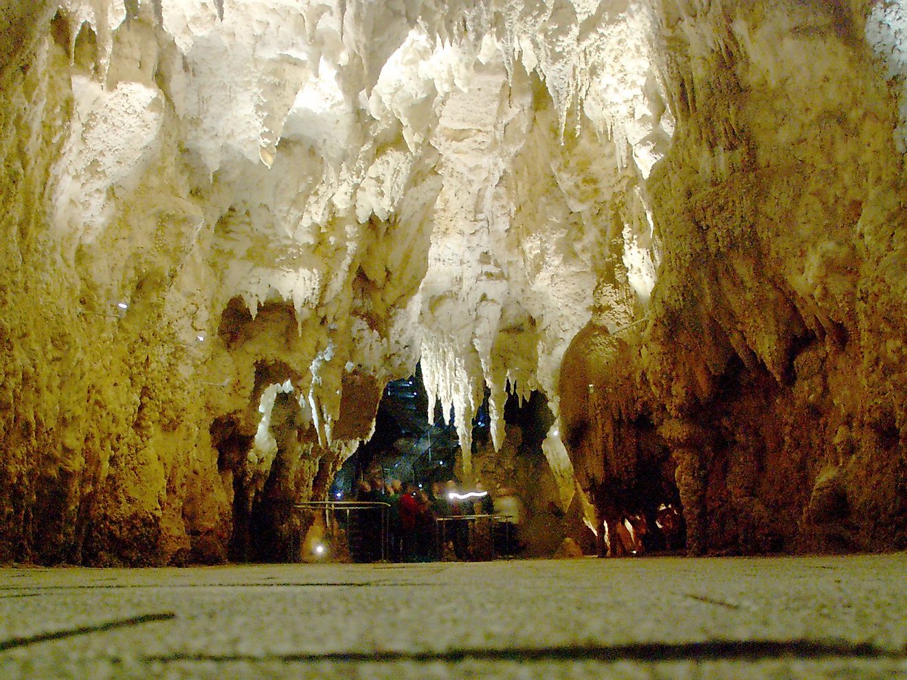 The "Cathedral" section of the Waitomo caves involves a series of stalactites shaped like the inside of a church, through which one can see the illuminated caves of the glowworms in the distance.