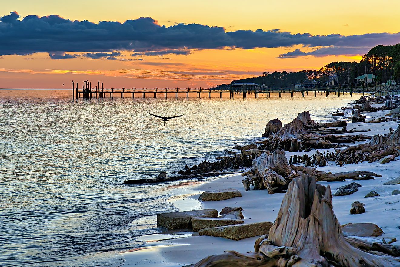 Driftwood beach in Carrabelle.