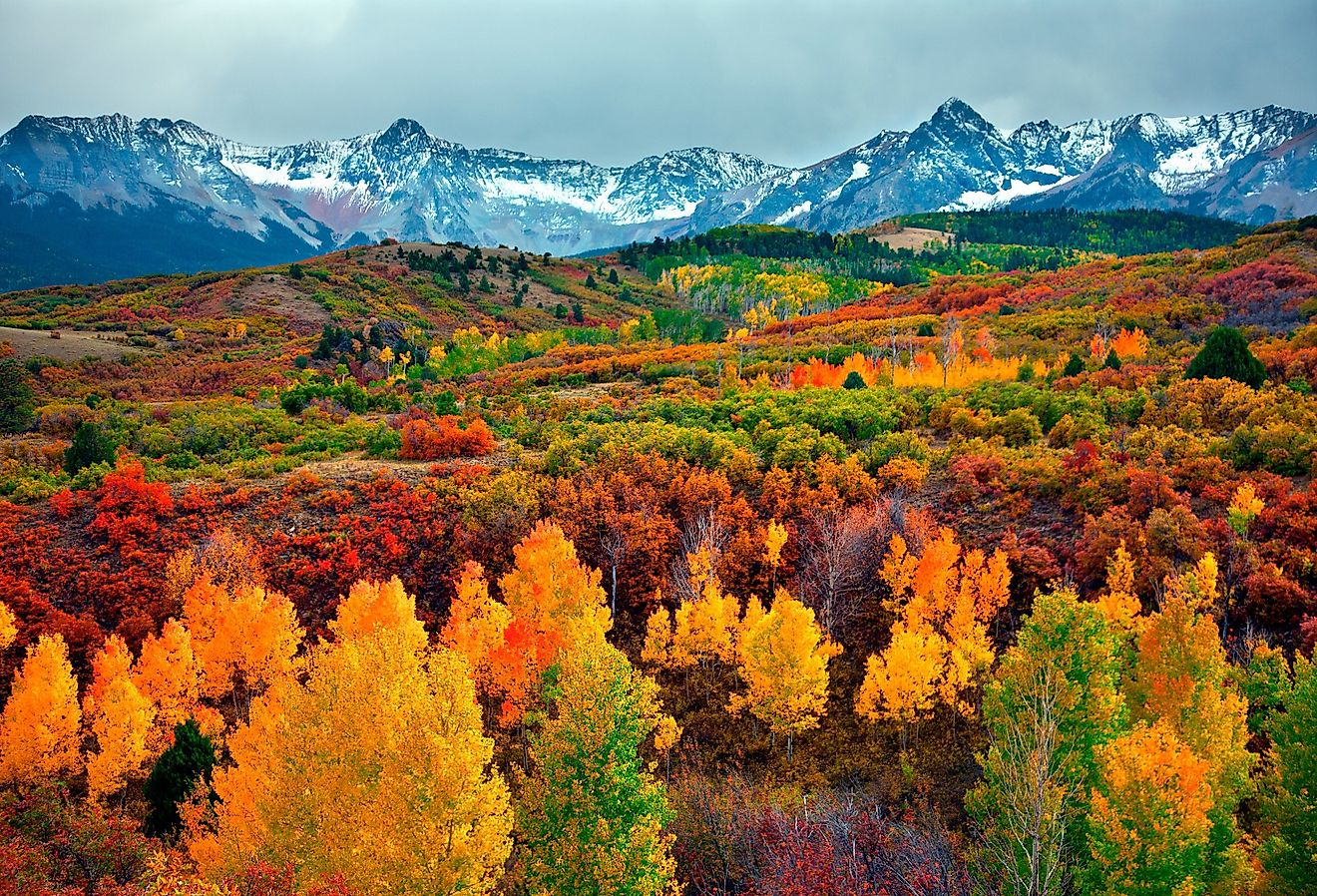 Autumn colors in the Rocky Mountains, Colorado.