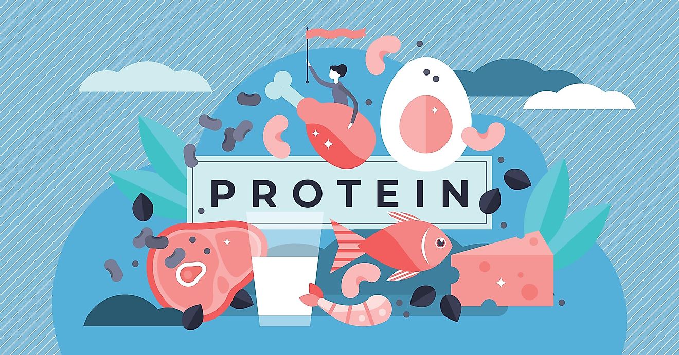 Solar Foods, a company from Finland, plans to bring a new type of protein powder to the market.